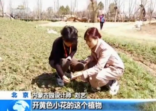 【魅力世園會】內蒙古園:壯美的北疆畫卷