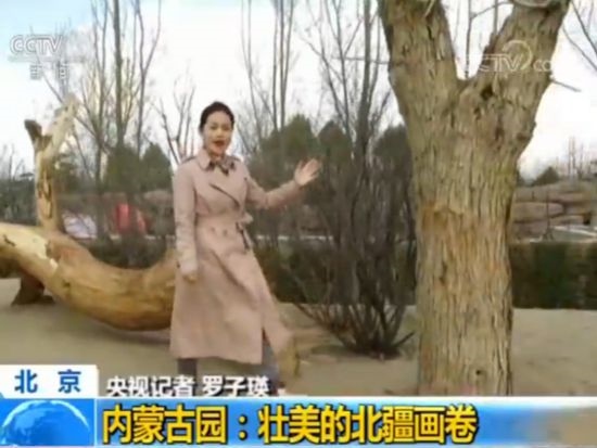 【魅力世園會】內蒙古園:壯美的北疆畫卷