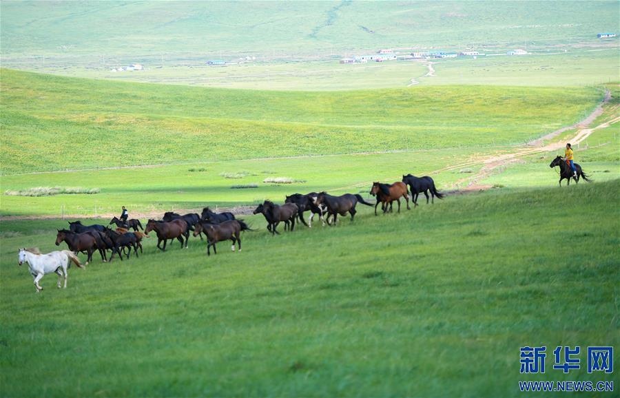 (特別的暑期生活·圖片故事)(15)草原女孩錫林花的暑期“歡樂時(shí)光”