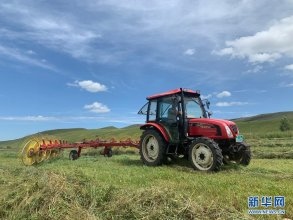 內蒙古興安盟：草原打草忙