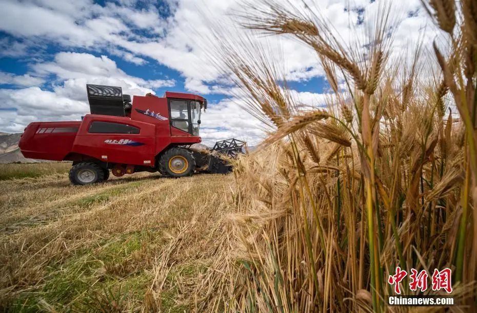 點擊進入下一頁