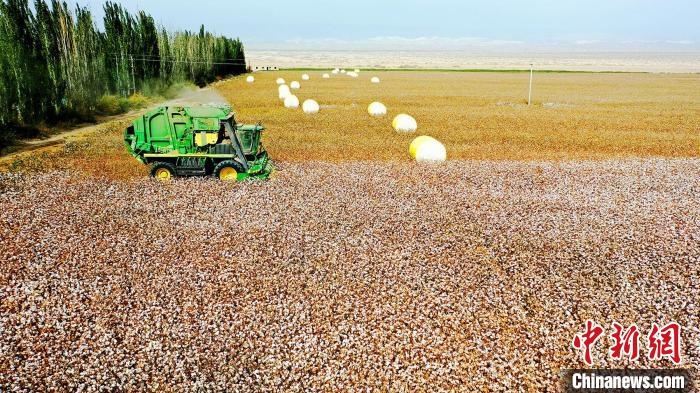 近年來，當(dāng)?shù)孛藁ǚN植戶的生產(chǎn)生活發(fā)生了翻天覆地的變化?！《?攝