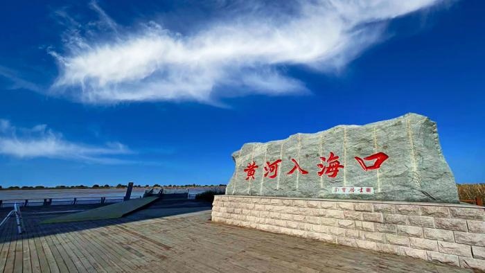 △黃河入?？谖挥谏綎|東營(yíng)市墾利區(qū)。(總臺(tái)央視記者彭漢明拍攝)