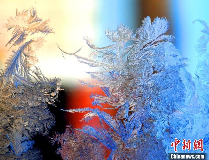 冰窗花千姿百態(tài)?！O書程 攝