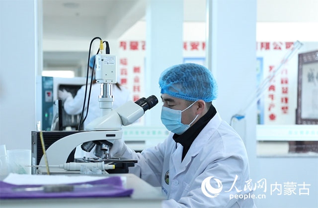 內(nèi)蒙古中農(nóng)興安種?？萍加邢薰韭鋺艨朴抑衅欤瑸槿馀．a(chǎn)業(yè)發(fā)展提供了優(yōu)質(zhì)的種源保障。白俊華攝