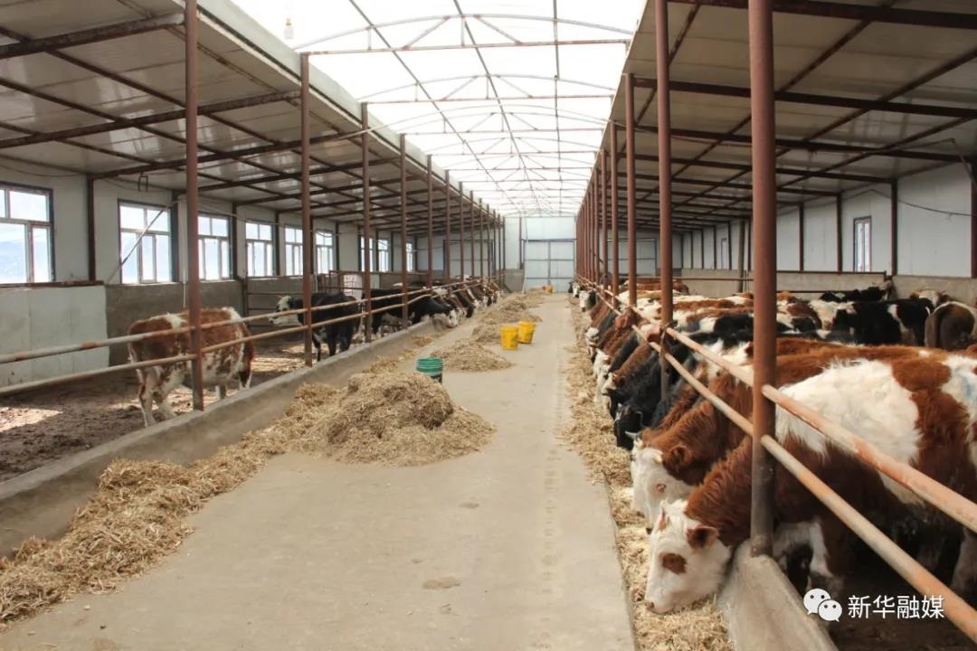 1588903719427552.jpg 微信圖片_20200508100832.jpg