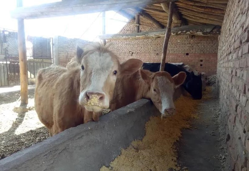 1590457666281707.png 微信圖片_20200526094746.png