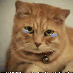 1591667488363129.gif 6_結果.gif