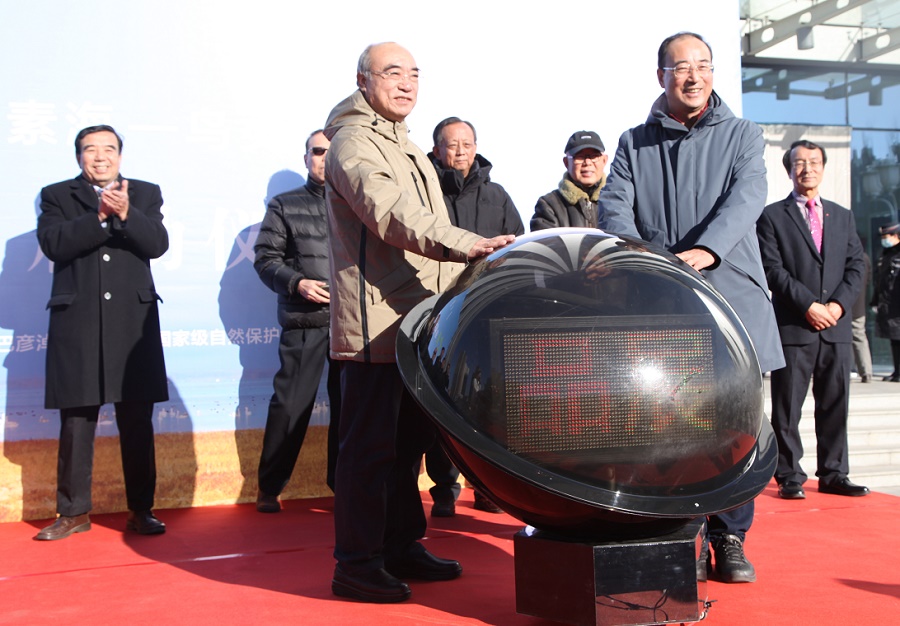 1608295309324022.png 1608278625491340.png