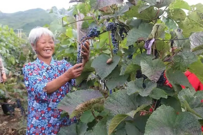 1632888620442421.jpg 1632888620442421.jpg