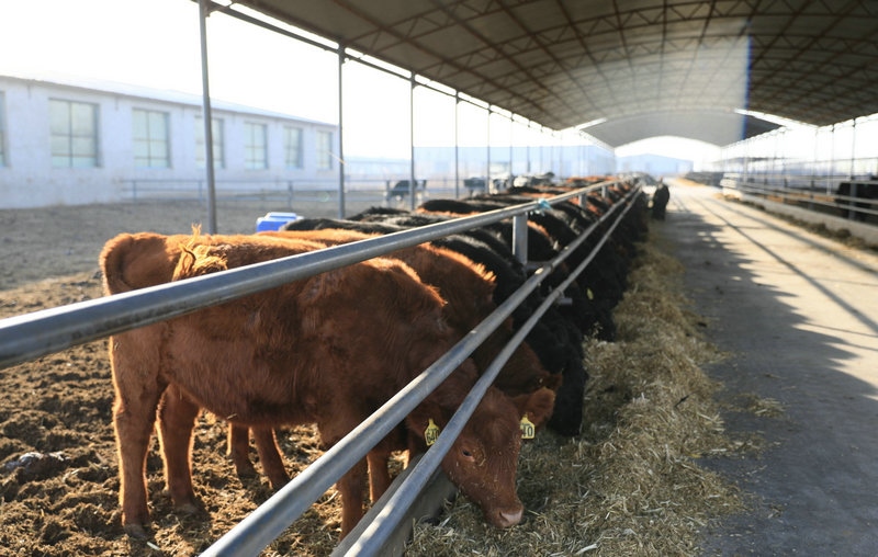 1650300790152504.jpg 624d3d44ly1fxrbm76ds6j21hc0zk1kx.jpg