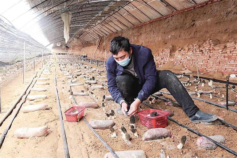 1652252711145705.jpg 00300563867_e78f93eb.jpg