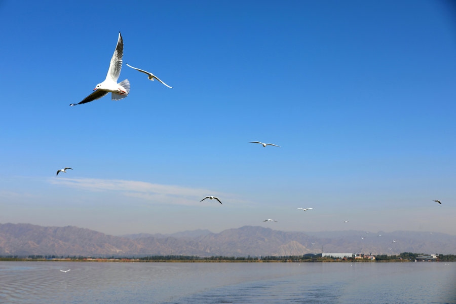 1664069848140972.jpg 7O5A3621_副本.jpg