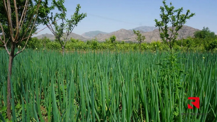 1665227393132322.jpg 微信圖片_20221008190840.jpg