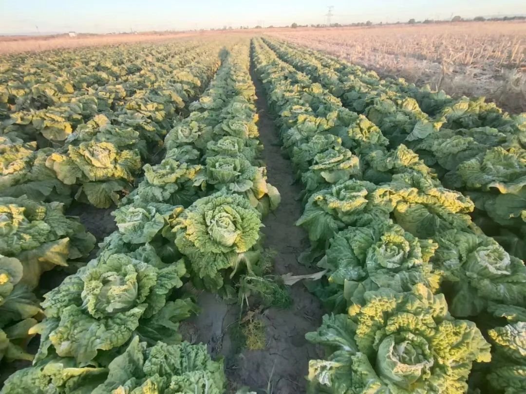 1666518493183831.jpg 微信圖片_20221023174526.jpg