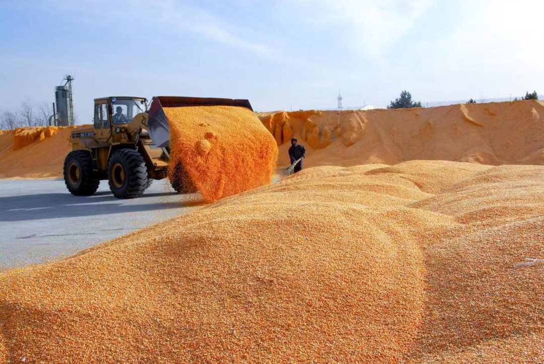 1673515099105539.png 45a2251ed4b50e1683f454a1b0101fe2_640_wx_fmt=png&wxfrom=5&wx_lazy=1&wx_co=1.png