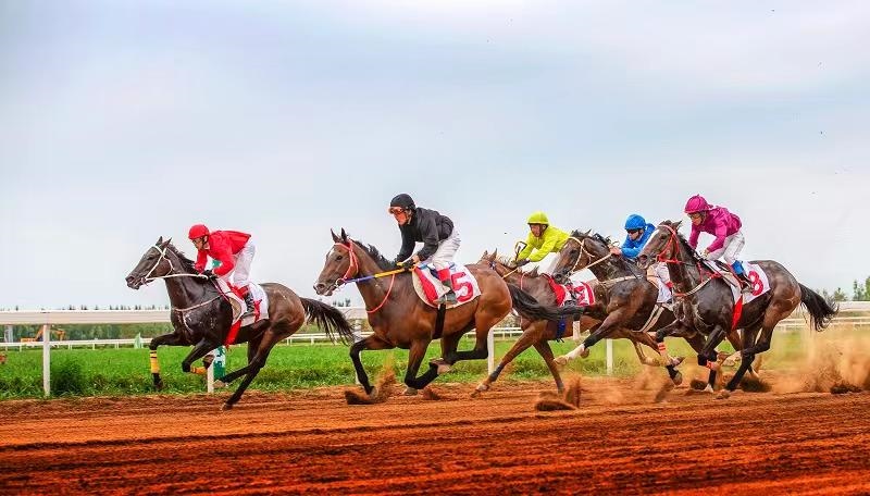 1689566689730765.jpg 微信圖片_20230717114659.jpg