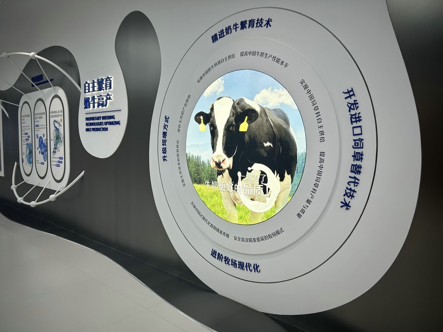 1705481702147340.jpg 1.jpg