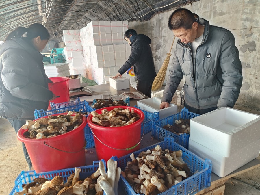 1707355492252940.png 圖片2.png