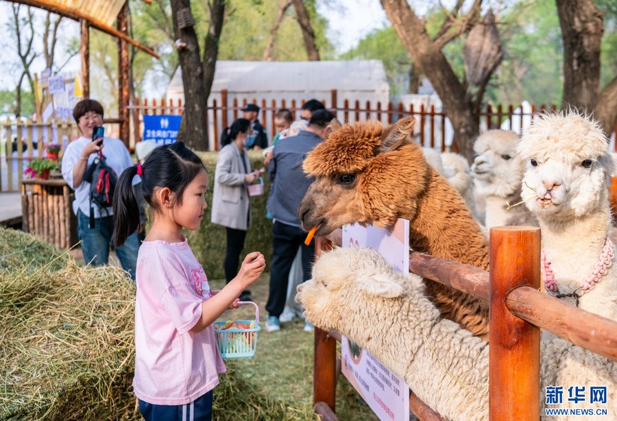 1714959868138175.jpg _O6I0394.JPG