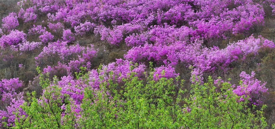 1715241863765836.jpg _O6I3470.JPG