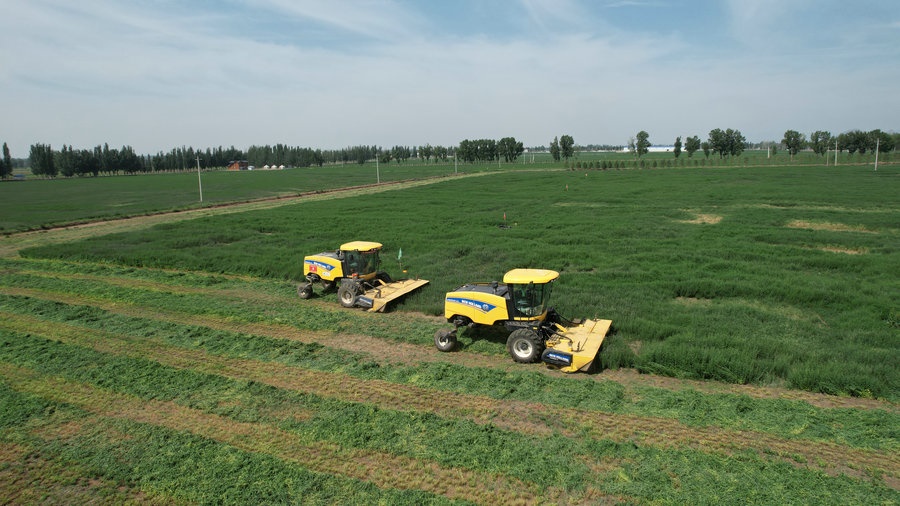 1716886098115669.jpg 1.jpg