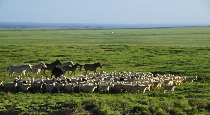 1722860214919503.png 002.png