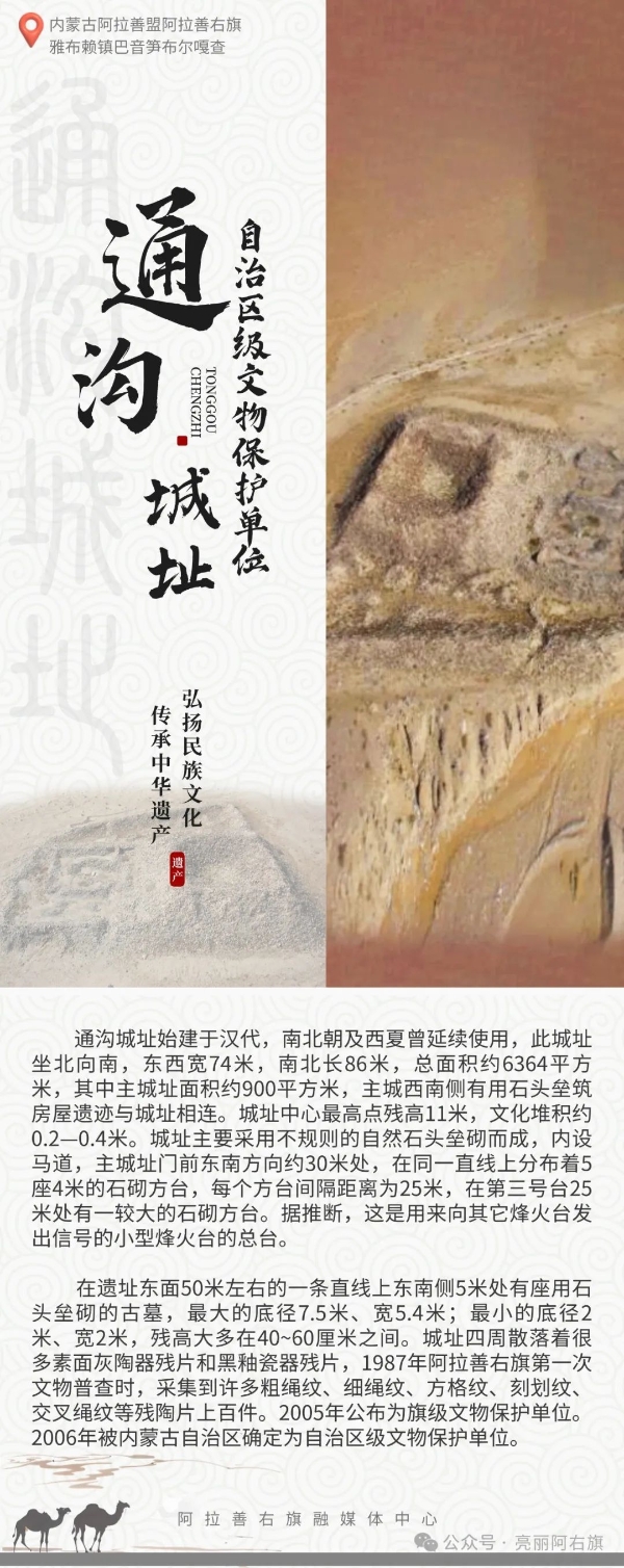 1733902819109731.jpg _DSC2271.JPG