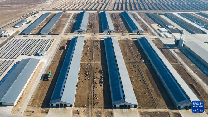 1734939635541899.jpg 智慧牧場.jpg