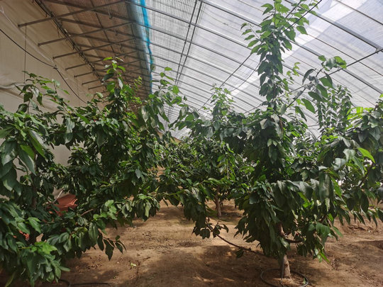 1751936730108414.jpg 經(jīng)濟1.jpg