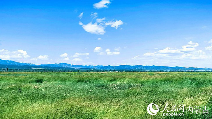 1752228220447229.jpg 內蒙古1.jpg