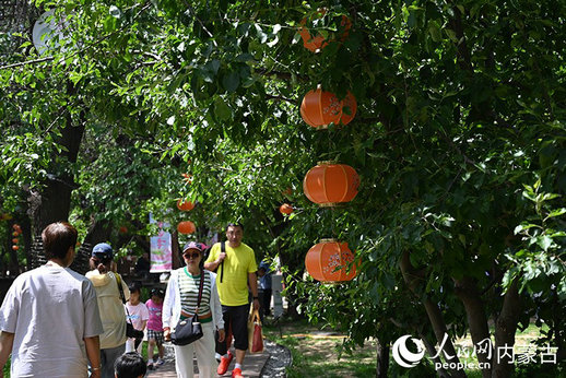 1752228361220150.jpg 內蒙古5.jpg