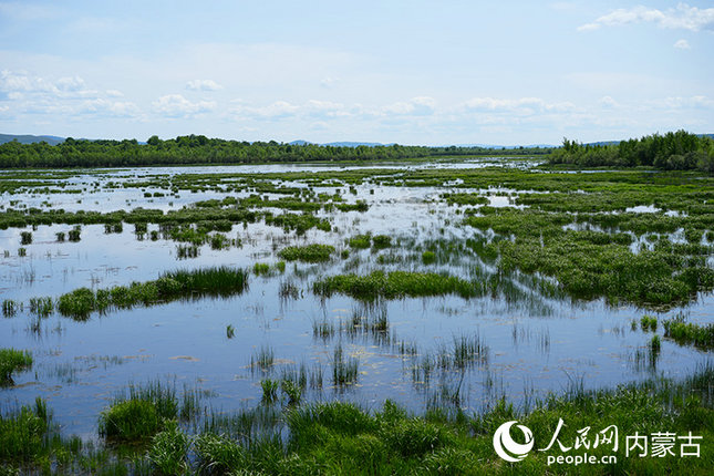 1752799190977122.jpg 臨海8.jpg