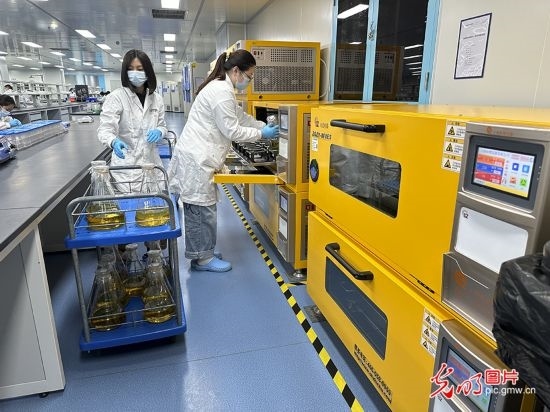 【高質量發(fā)展看中國】基因遞送排頭兵 可實現(xiàn)“個性化”定制
