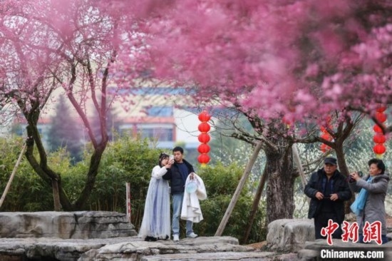 2月23日，市民在乾藝梅園景區(qū)觀賞綻放的梅花。瞿宏倫 攝