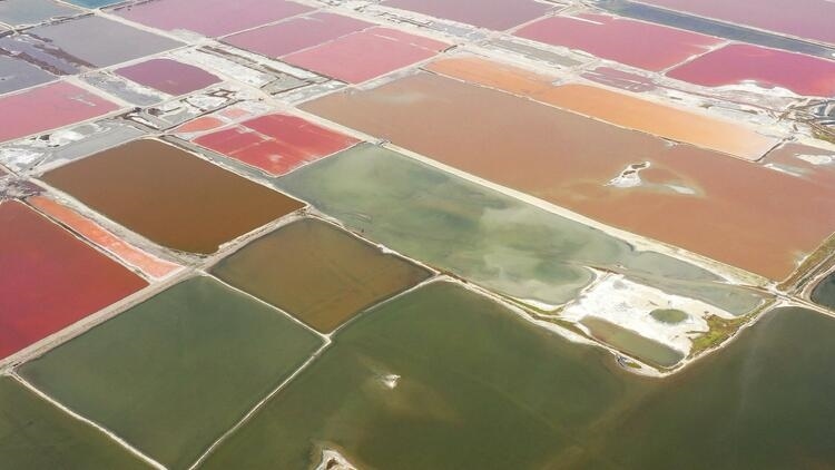 鑒往知來，跟著總書記學歷史丨走進一座博物館，尋根五千年中華文明