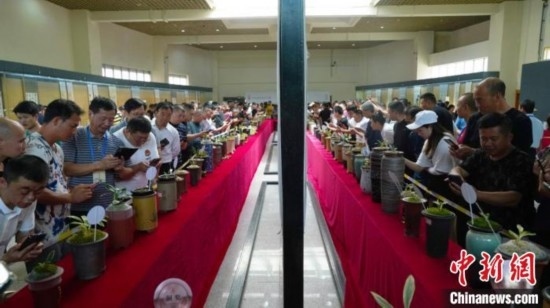 圖為活動(dòng)現(xiàn)場(chǎng)。 云南省委臺(tái)辦供圖