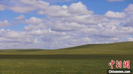 圖為點(diǎn)點(diǎn)新綠在原野上蓄勢待發(fā)。 歐戈 攝