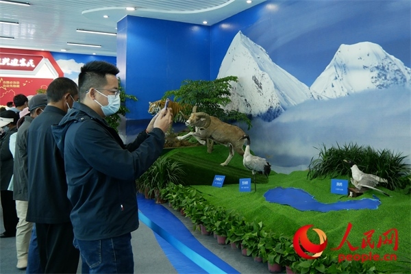 6月17日，觀眾正在觀展。人民網(wǎng) 韋衍行攝