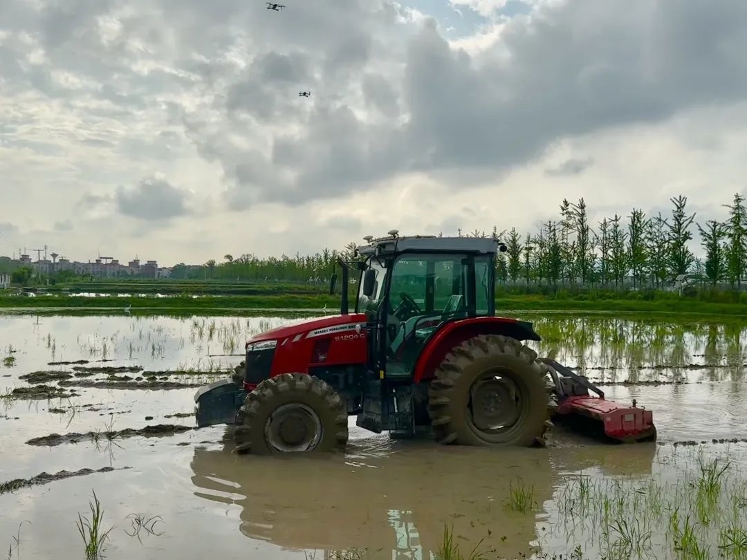 浙江省金華市東陽(yáng)市城東街道寀盧村的一臺(tái)無(wú)人駕駛耕地機(jī)。靜玄 攝