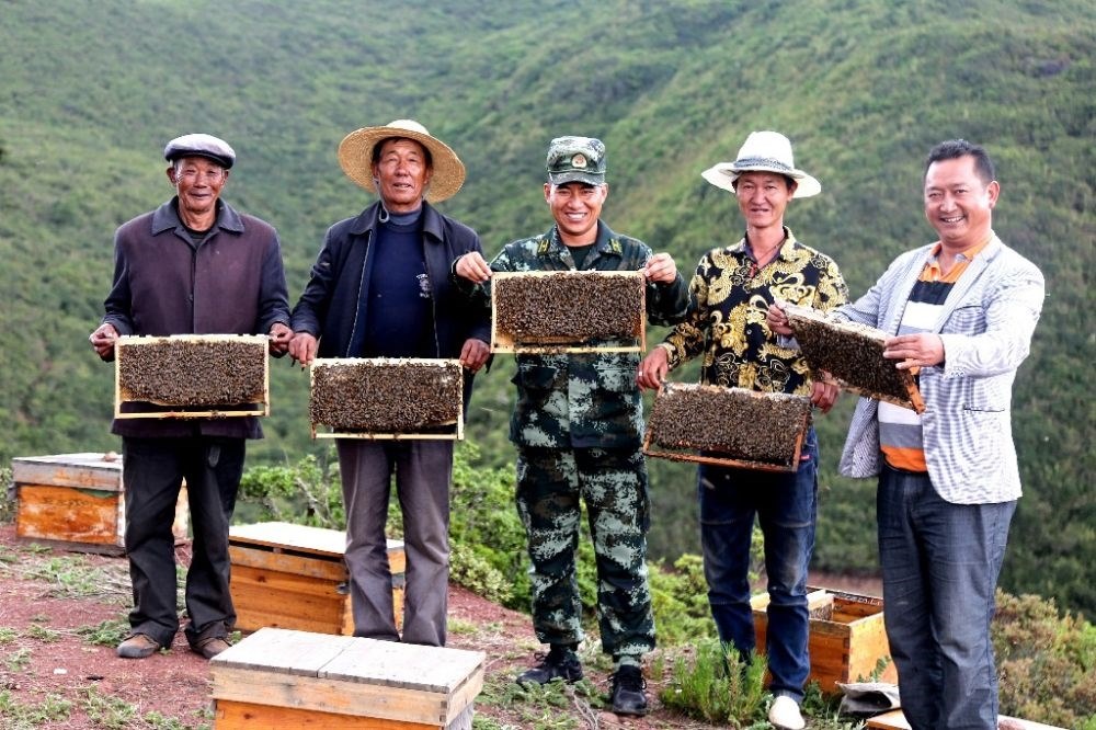 ↑武警四川總隊(duì)涼山支隊(duì)精準(zhǔn)幫扶昭覺縣梭梭拉打村發(fā)展養(yǎng)蜂產(chǎn)業(yè)，總隊(duì)駐村扶貧干部布哈（中）和村民一同展示豐收成果（2019年6月12日攝）。新華社發(fā)（楊劍 攝）