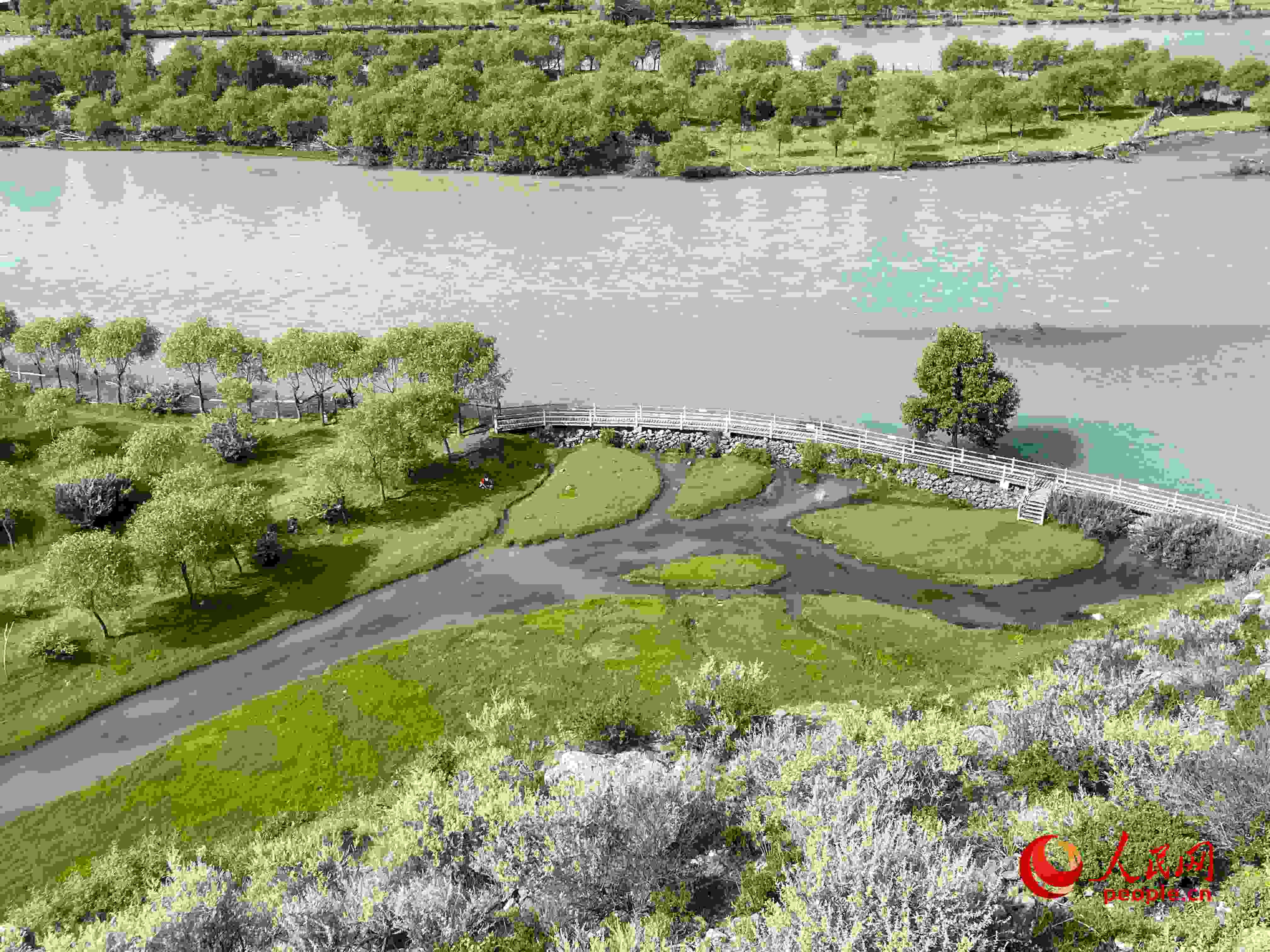 夏日的雅尼國(guó)家濕地公園生機(jī)盎然，如詩(shī)如畫。人民網(wǎng) 周靜圓攝