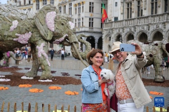 8月11日，觀眾在比利時布魯塞爾“鮮花時光”展覽上拍照。新華社記者 趙丁喆攝