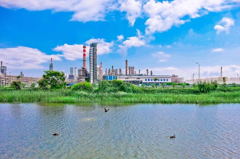 中化泉州石化廠區(qū)。受訪者供圖