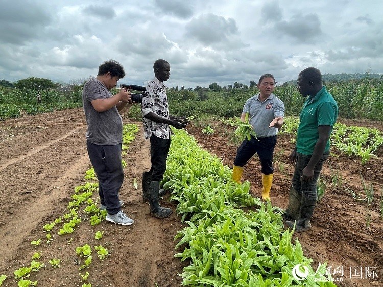 人民網(wǎng)記者走進尼日利亞農(nóng)業(yè)技術(shù)示范中心。人民網(wǎng)記者 趙艷紅攝