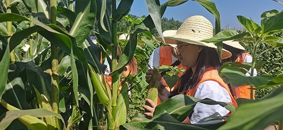 北京工商大學組織學生開展暑期社會實踐。學校供圖