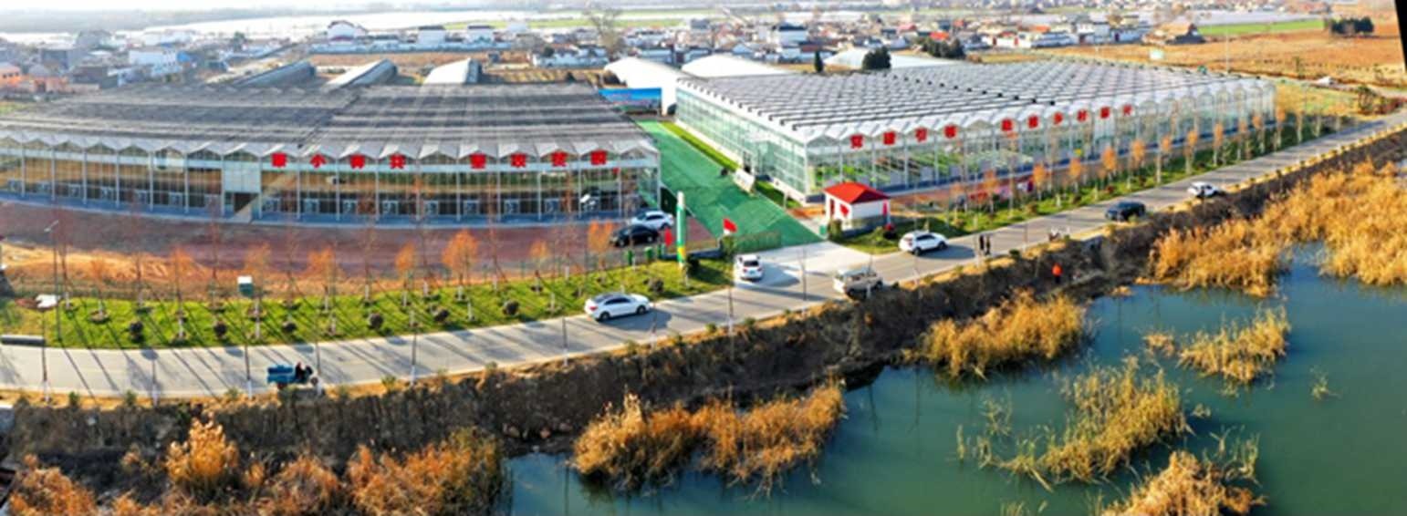 白樓灣三產(chǎn)融合發(fā)展。宋道森攝