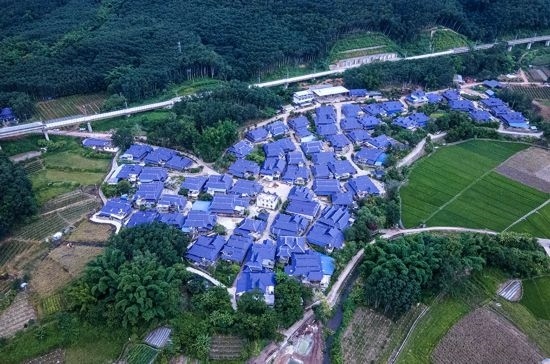 磨憨鎮(zhèn)曼莊村大龍哈小組現(xiàn)代化邊境幸福村新貌。人民網(wǎng)記者 符皓攝