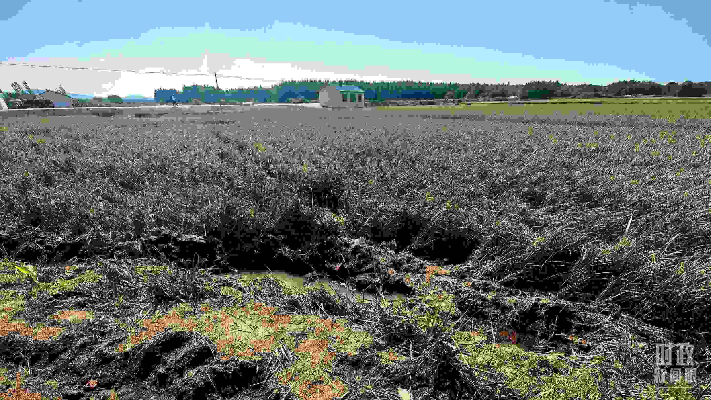 △圖為龍王廟村在洪災(zāi)中受損的農(nóng)田。（總臺央視記者史偉拍攝）