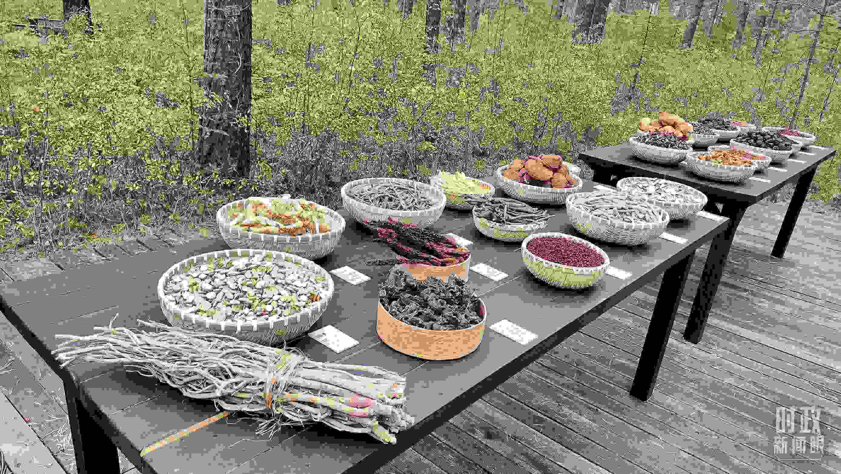 △林場里的食用菌、林果等特產(chǎn)。（總臺央視記者楊立峰拍攝）